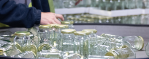 Glass Distributor featured on Humber Bondholders
