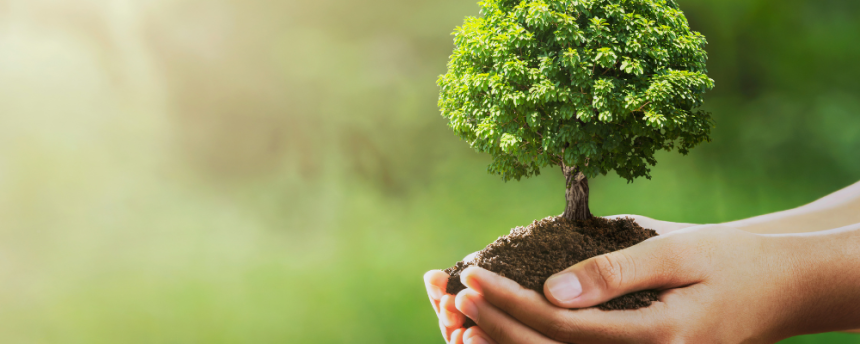 Earth Day is an annual event with a powerful mission: to diversify, educate, and activate the environmental movement on a global scale.